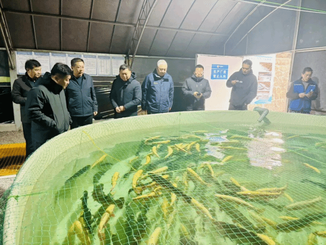 陕西商洛迎来湖北水产集团考察交流 共谋水产品养殖合作新篇章