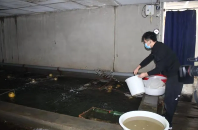 水产品养殖 智慧海洋的可持续抉择