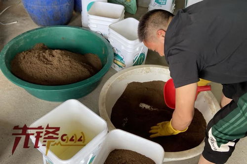 ## 重拳出击水产投入品 福建启动专项治理行动